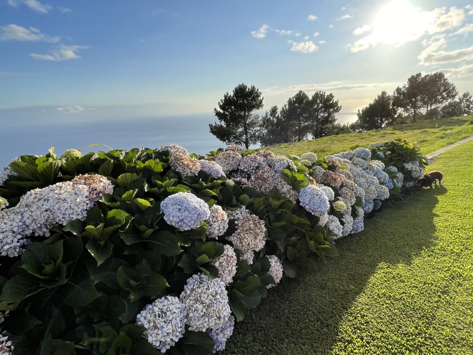 Gartenanlage OurMadeira - Quinta Inácia, countryside escape