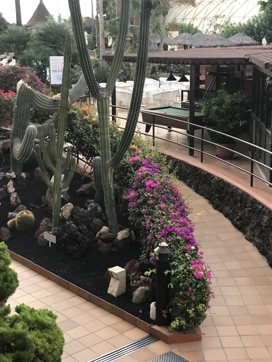Gartenanlage IFA Altamarena by Lopesan Hotels