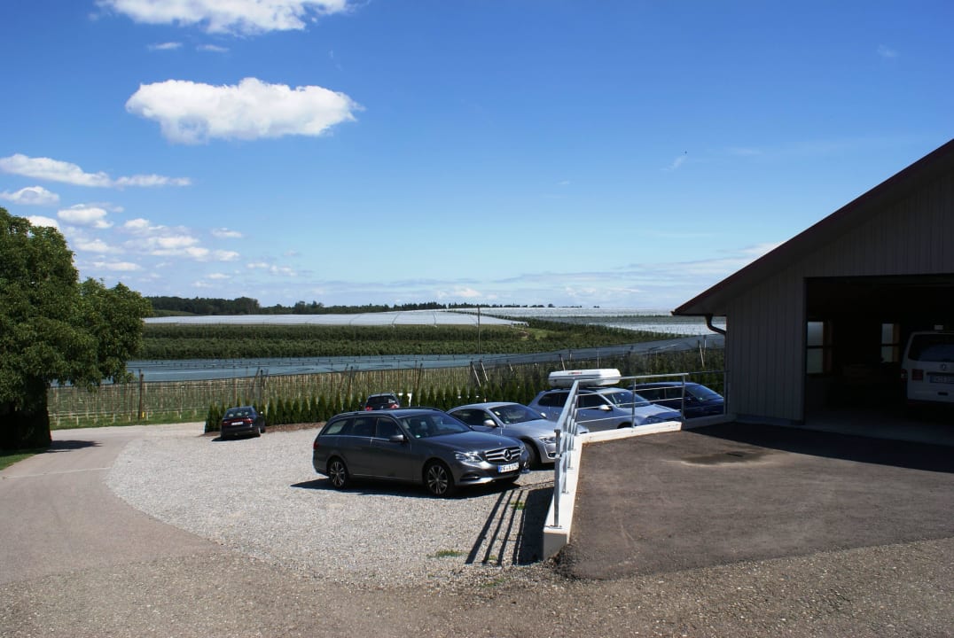 Baumfelder  Gesundheitsbewusster Urlaubshof Steffelin
