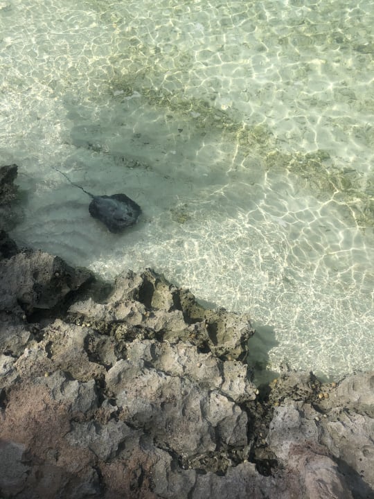 Strand Summer Island Maldives