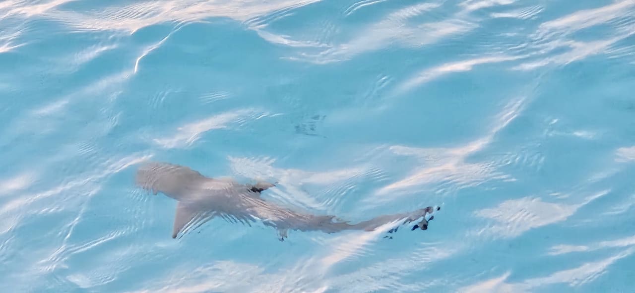 Strand Adaaran Select Meedhupparu Island Resort - Premium All Inclusive