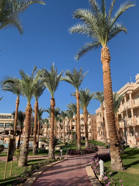 Gartenanlage Pickalbatros Palace Resort