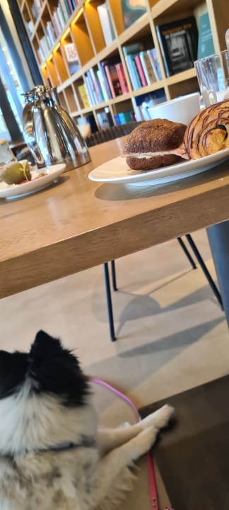 Gastro Seezeitlodge Hotel & Spa