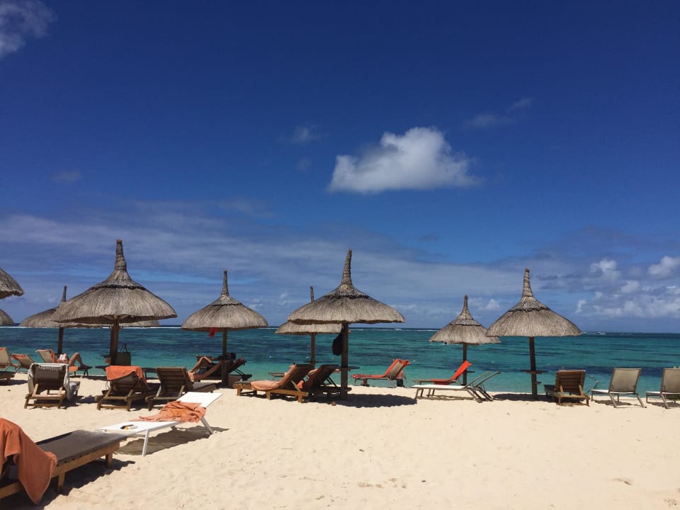 Genug Liegen vorhanden Friday Attitude