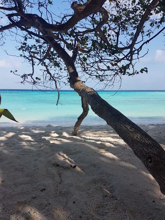 Strand Summer Island Maldives