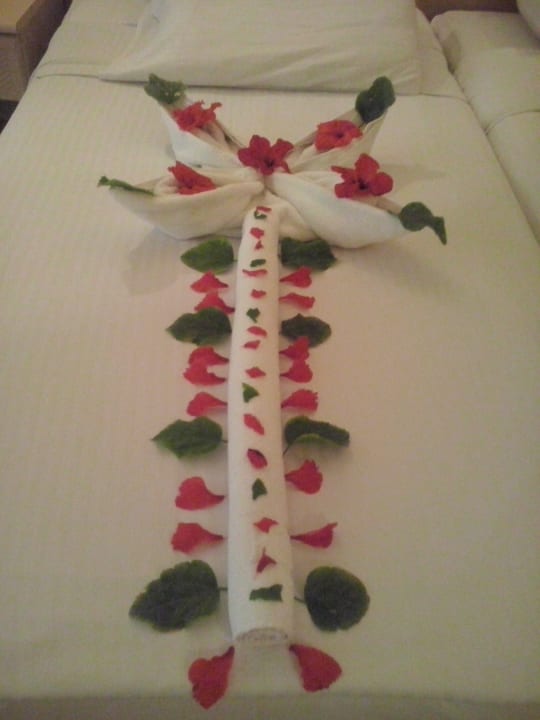 Zimmer Ghazala Gardens