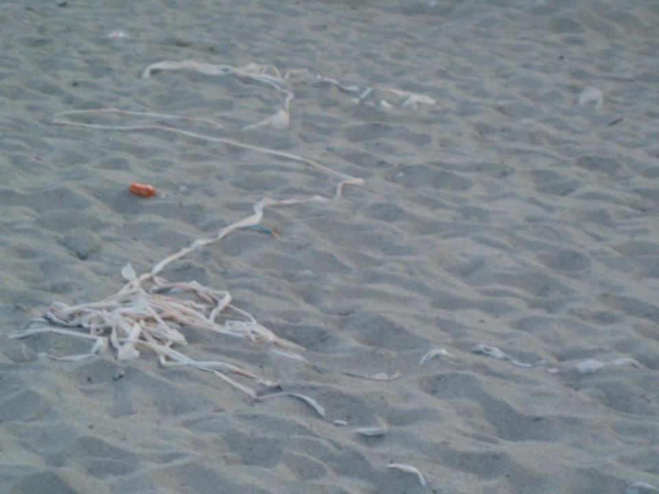 Strandmüll Olympian Bay Grand Resort