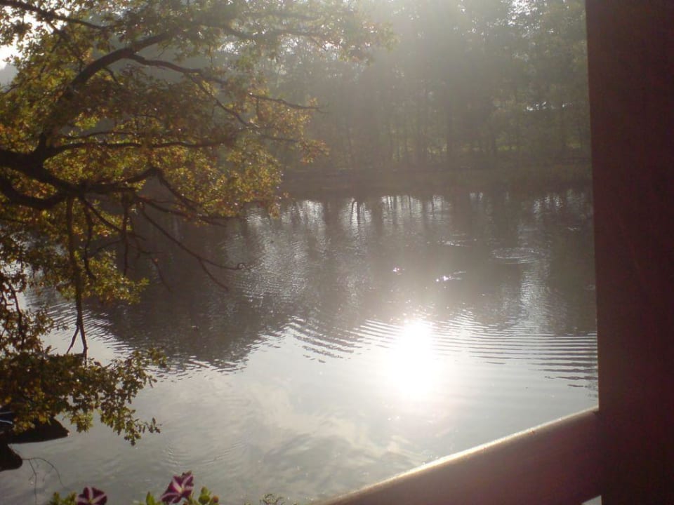 Ausblick vom Balkon WAGNERS Seehotel Schleusingen