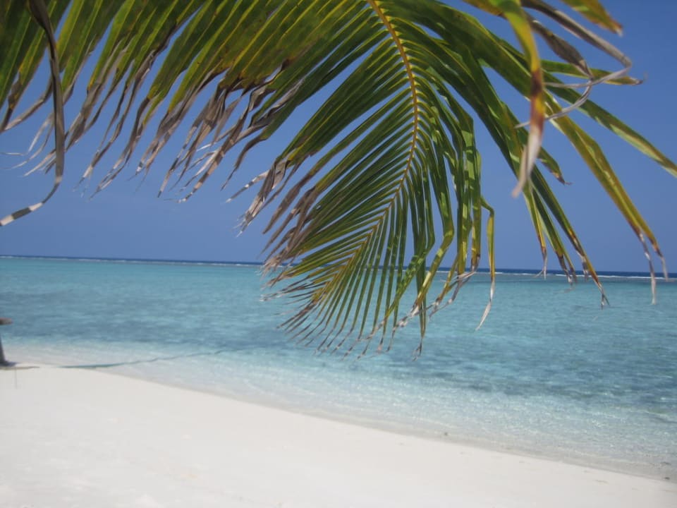 Traumstrand Summer Island Maldives