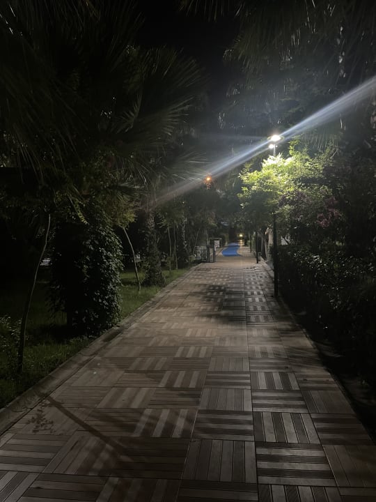 Gartenanlage Hane Family Resort