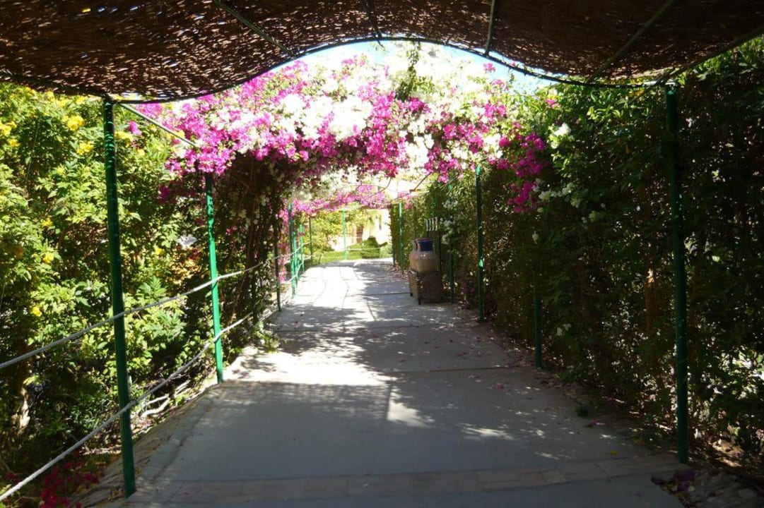 Weg zum Hotelstrand Jaz Makadi Oasis Resort