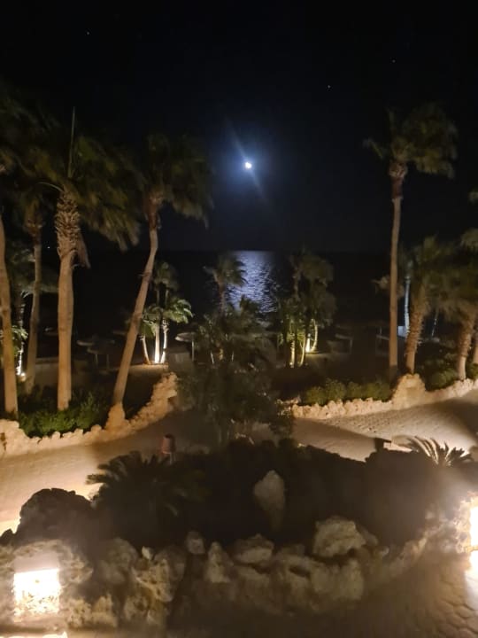 Gartenanlage Pickalbatros Citadel Resort