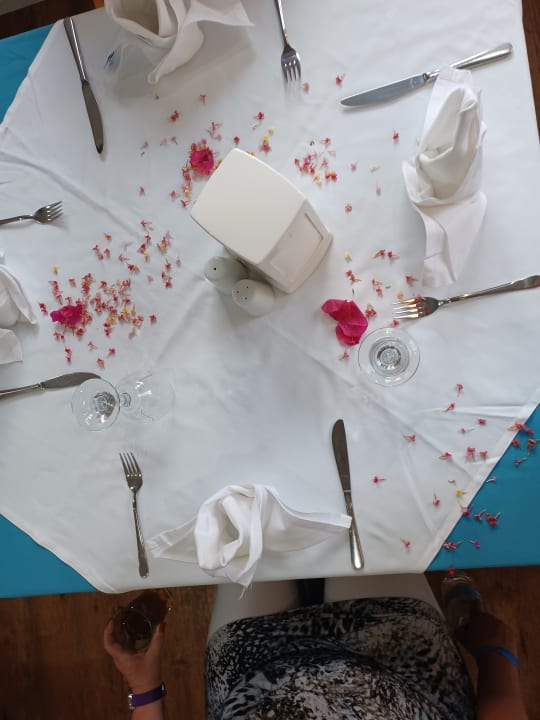 Gastro Asteria Collection Side