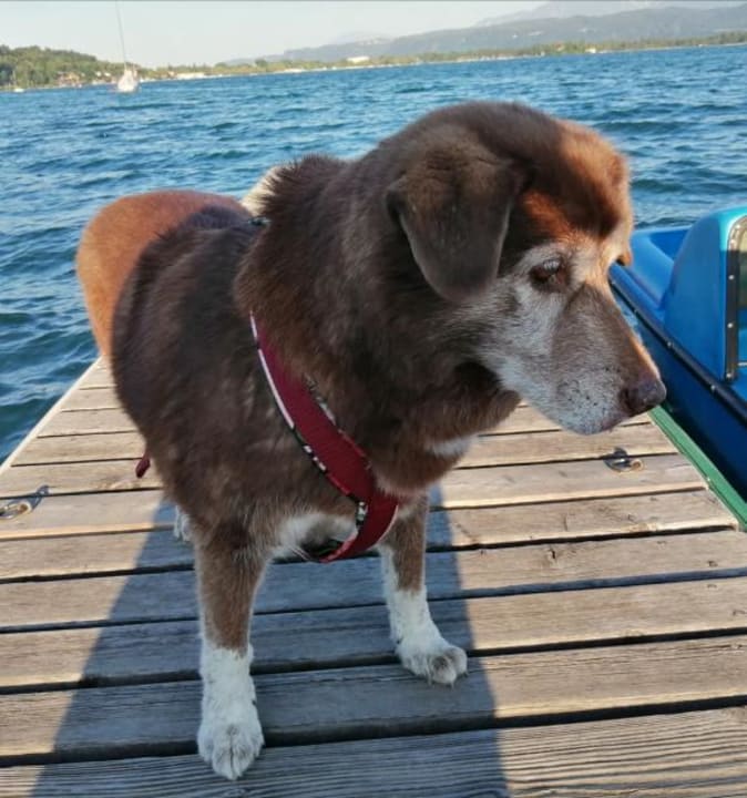 Strand Strandpension Adametz