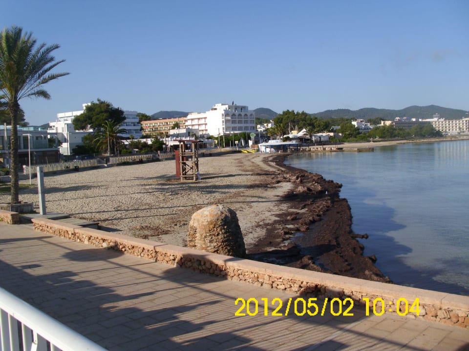 Strand NYX Hotel Ibiza - adults only