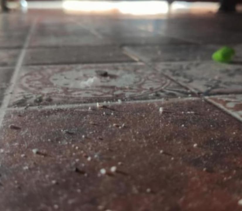 Zimmer Club Hotel Anjeliq