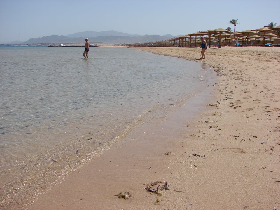 Strand Shams Prestige Abu Soma-Adults Only