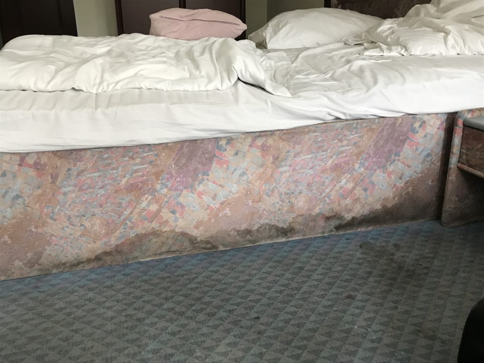 Zimmer Hotel Panorama am Adenauerplatz