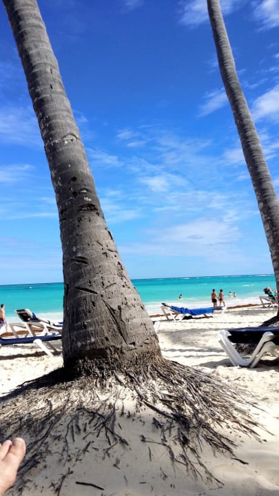 Blick von der Liege Grand Palladium Select Bávaro Resort & Spa