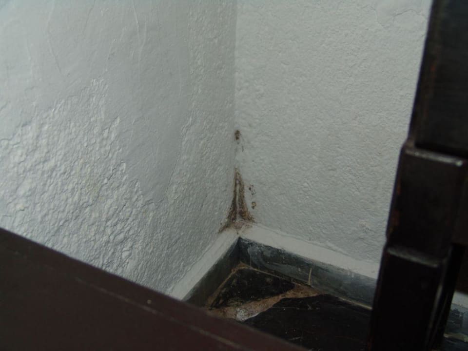 Schimmel Hotel Heliotrope