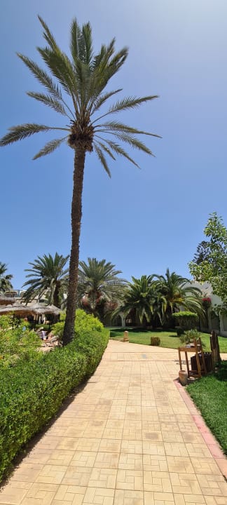 Gartenanlage TUI MAGIC LIFE Penelope Beach