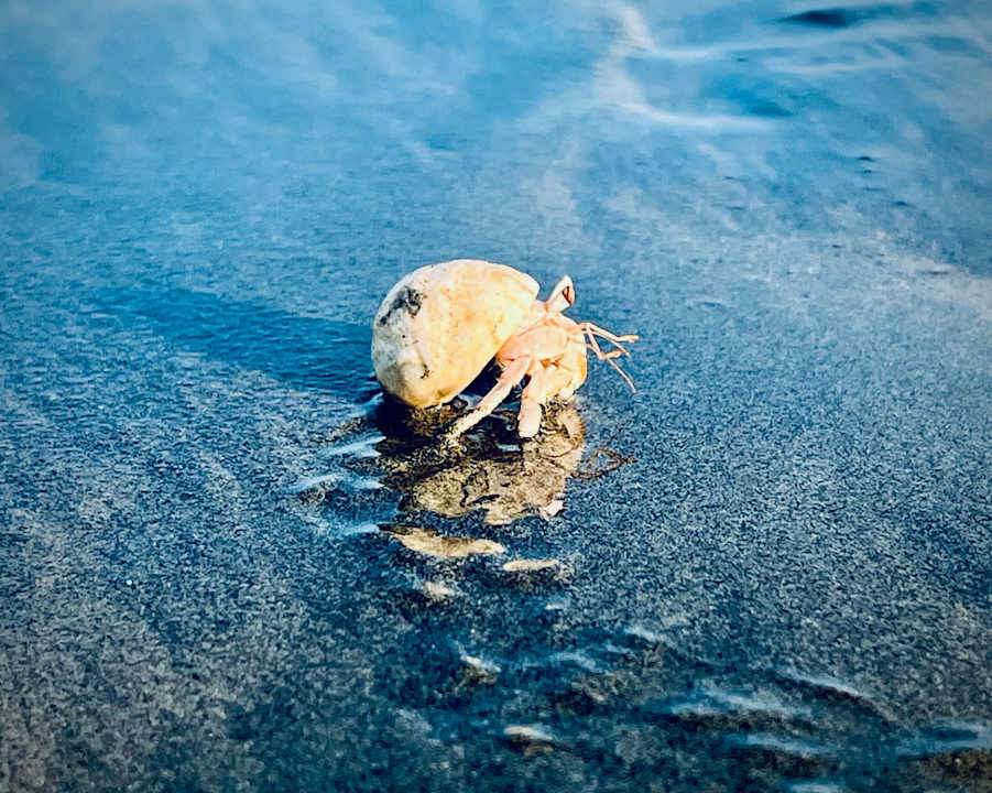 Strand Lahami Bay Beach Resort