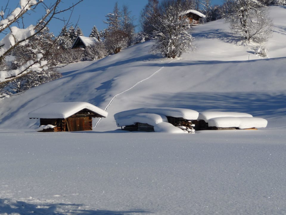 Blick über die Wiesen Landhaus Berktold