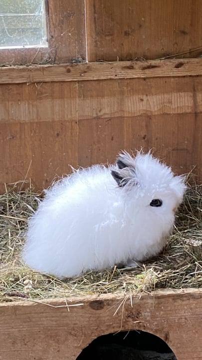 Sport & Freizeit Oberjoch - Familux Resort