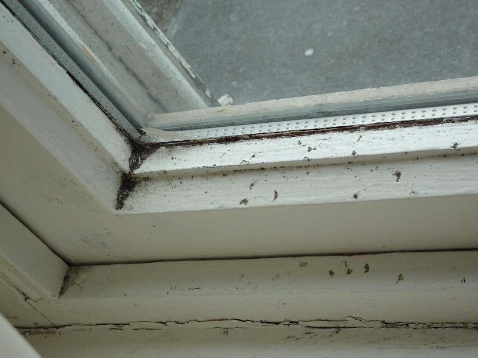 Schimmel und dreck am Fensterrahmen Langton House Hotel