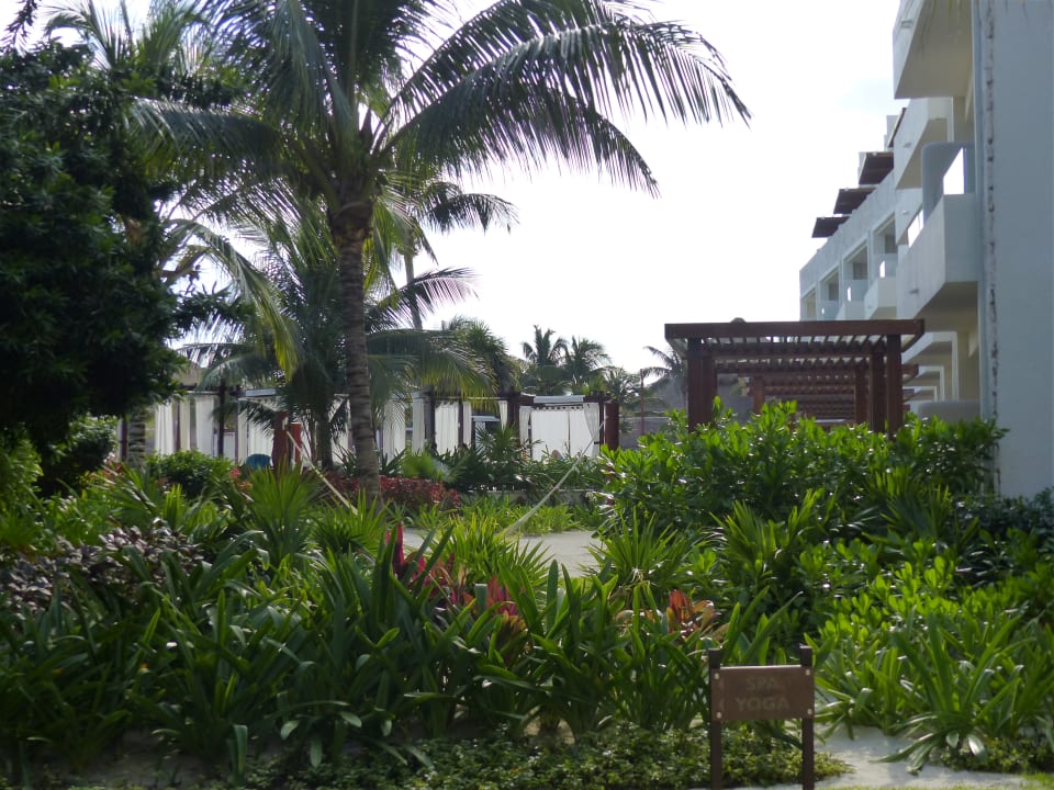 Gartenanlage Akumal Bay Beach & Wellness Resort