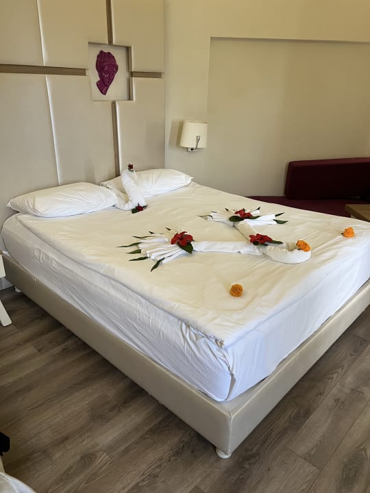Zimmer Hotel Botanik Platinum