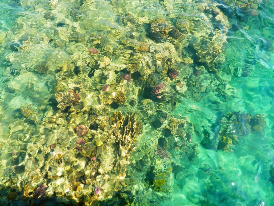 Море Shams Alam Beach Resort