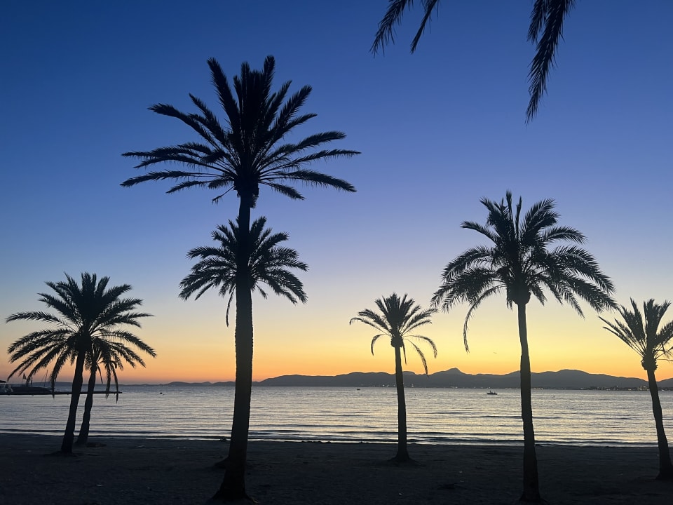 Strand Grupotel Acapulco Playa - Adults Only