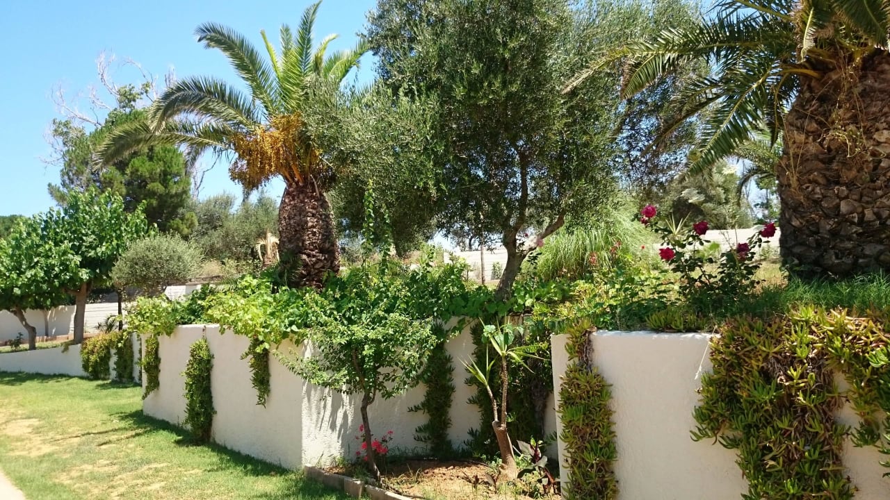 Rośliny HARPIN Georgioupolis Resort Aquapark & SPA