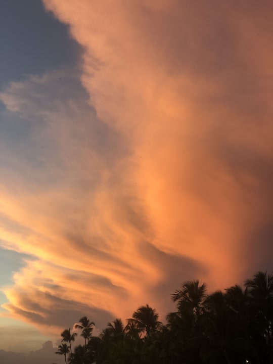 Strand Hotel Viva Dominicus Palace by Wyndham-All Inclusive Resort