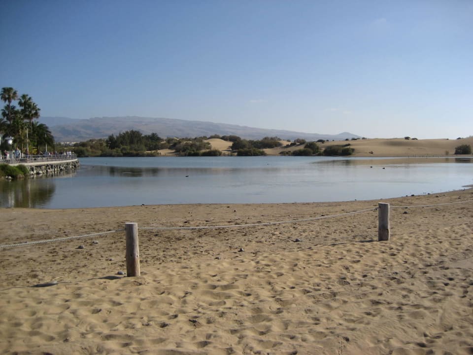 Strand 1 Suites & Villas by Dunas