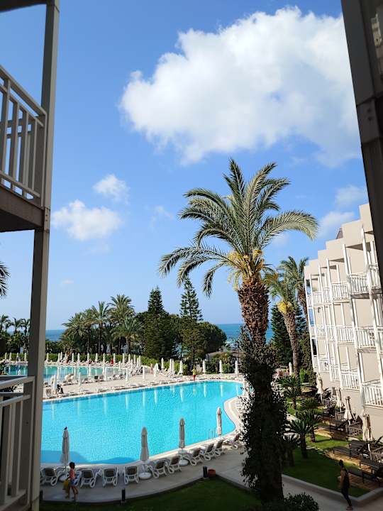 Zimmer PALOMA Perissia