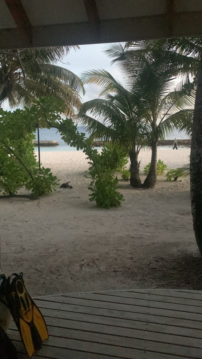 Ausblick Ellaidhoo Maldives by Cinnamon