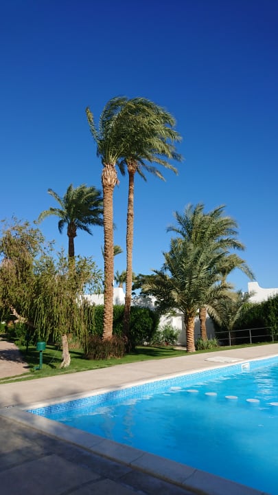 Pool Imperial Shams Abu Soma