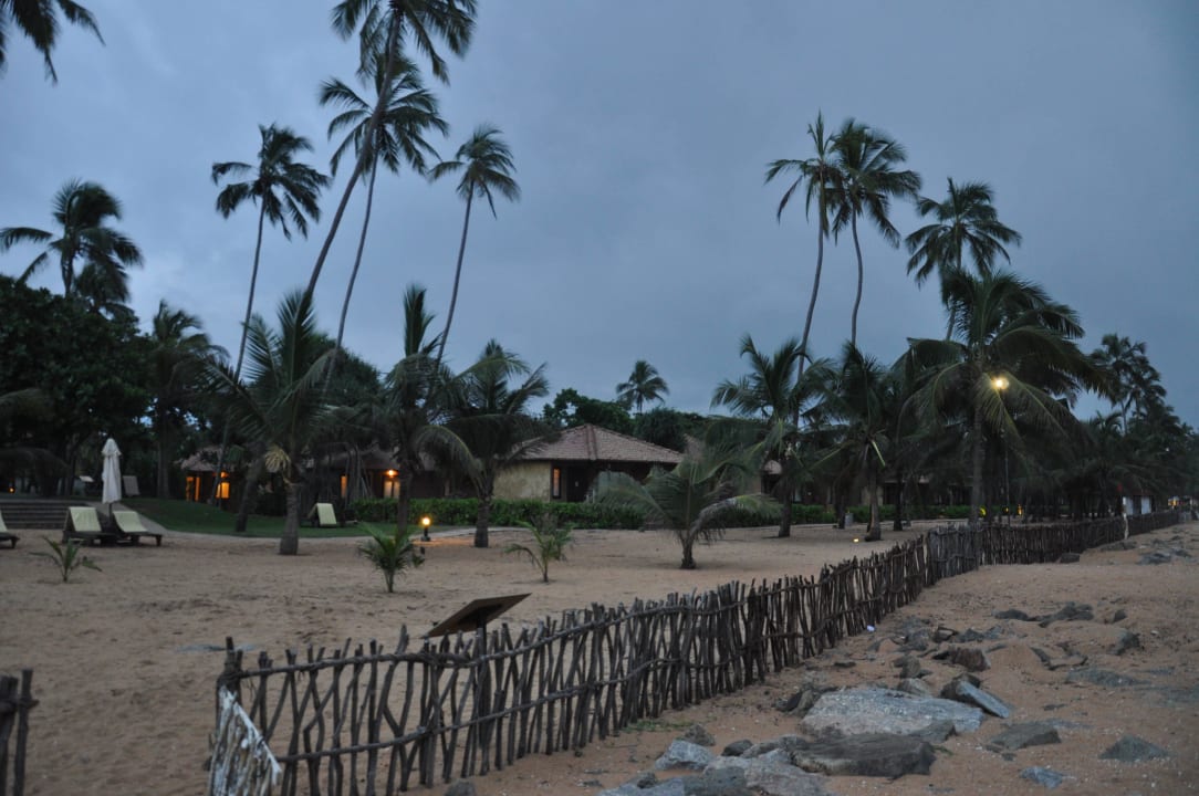 Abschnitt zum Strand Club Hotel Dolphin