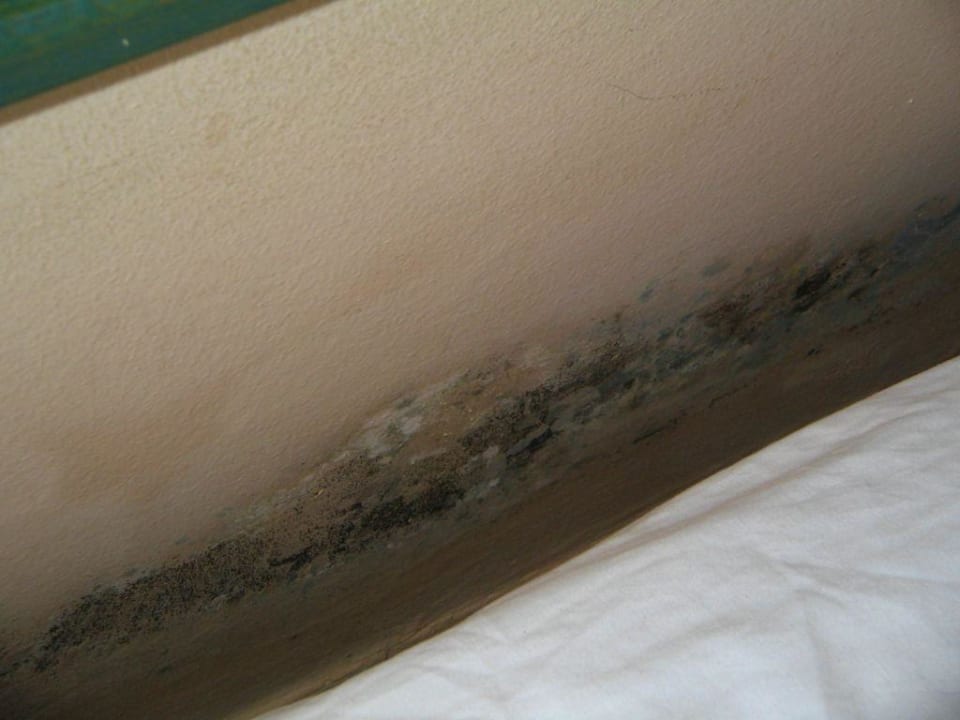 Schimmel hinterm Bett Eden Club