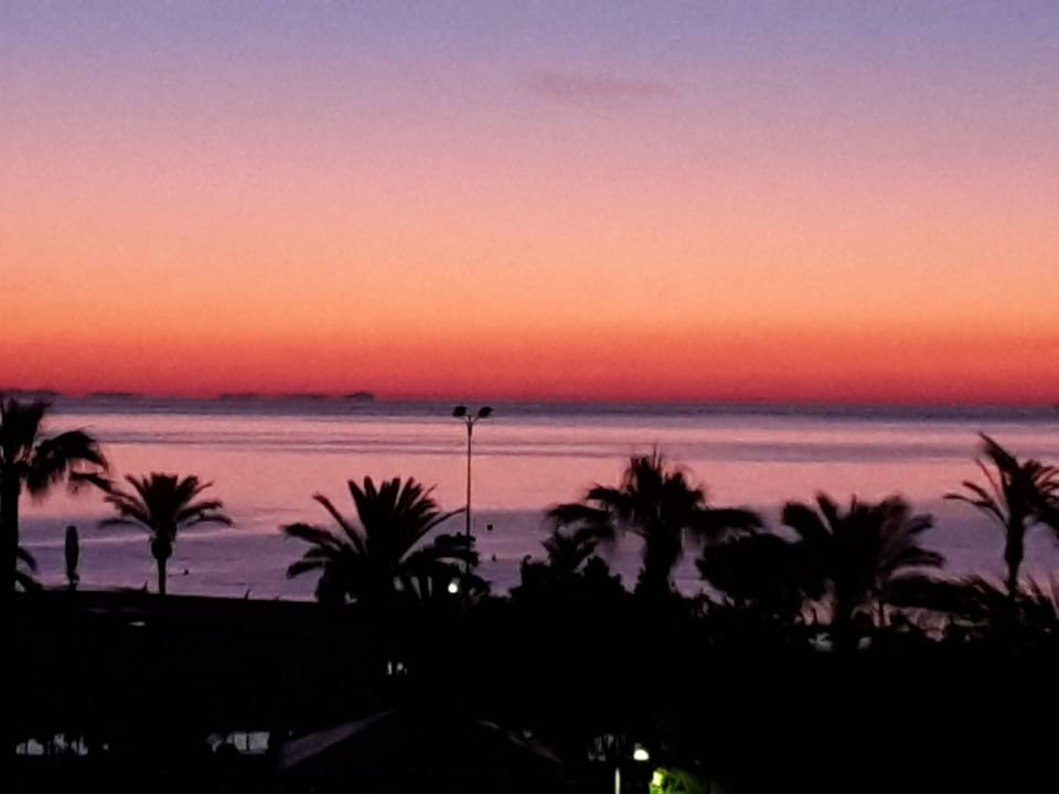 Blick vom Balkonam frühen morgen Hipotels Cala Millor Park