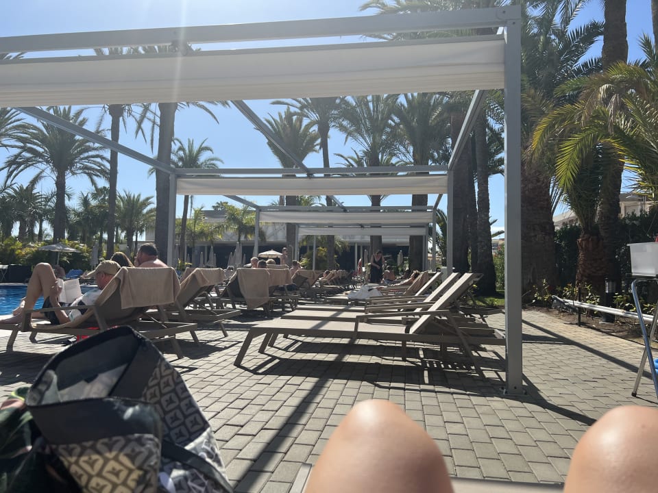 Pool Hotel Riu Palace Palmeras