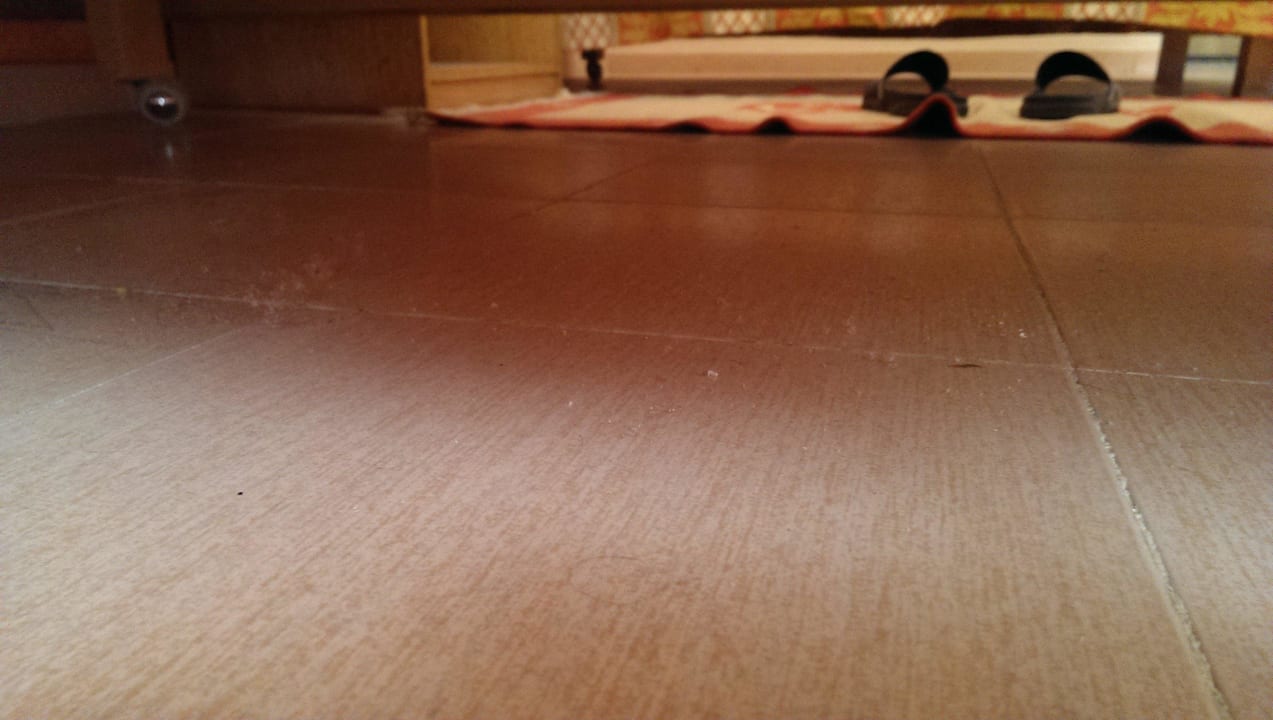 Dreck Sea Star Beau Rivage