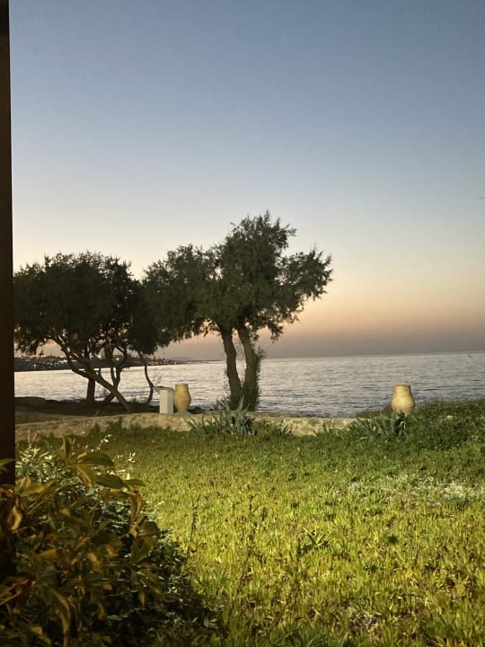 Außenansicht Alexander Beach Hotel & Village Resort