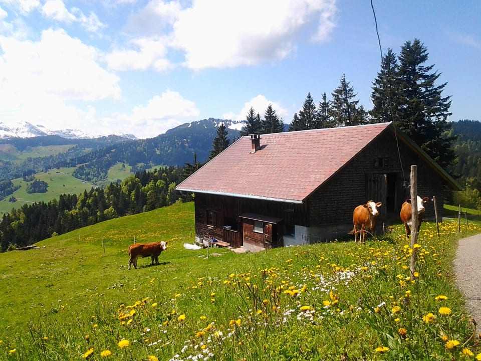 Alpe Schedler's Löwenhotel