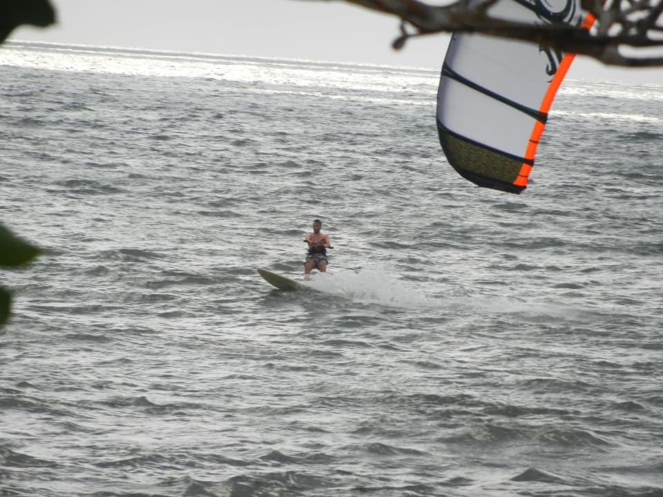 Surf sur la plage de Tara Plage Hotel Tara Plage