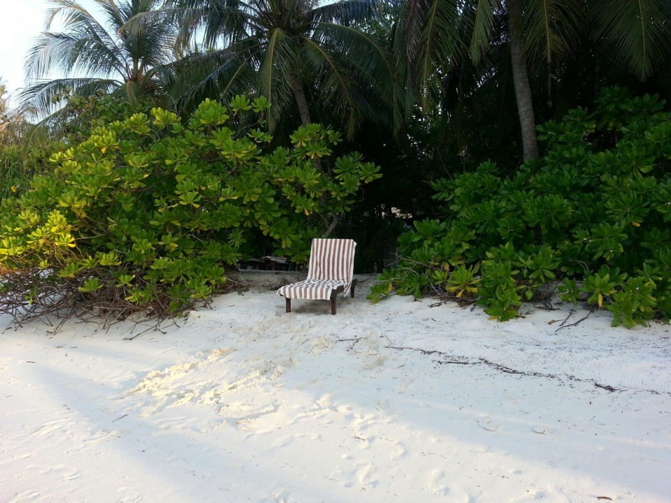 Strand am Bungi 141 Sun Island Malediven Villa Park Sun Island