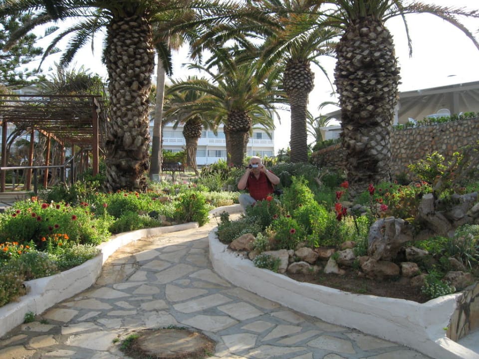Im Hotelpark Hotel Nissi Beach Resort