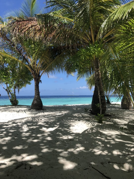 Strand Adaaran Select Meedhupparu Island Resort - Premium All Inclusive